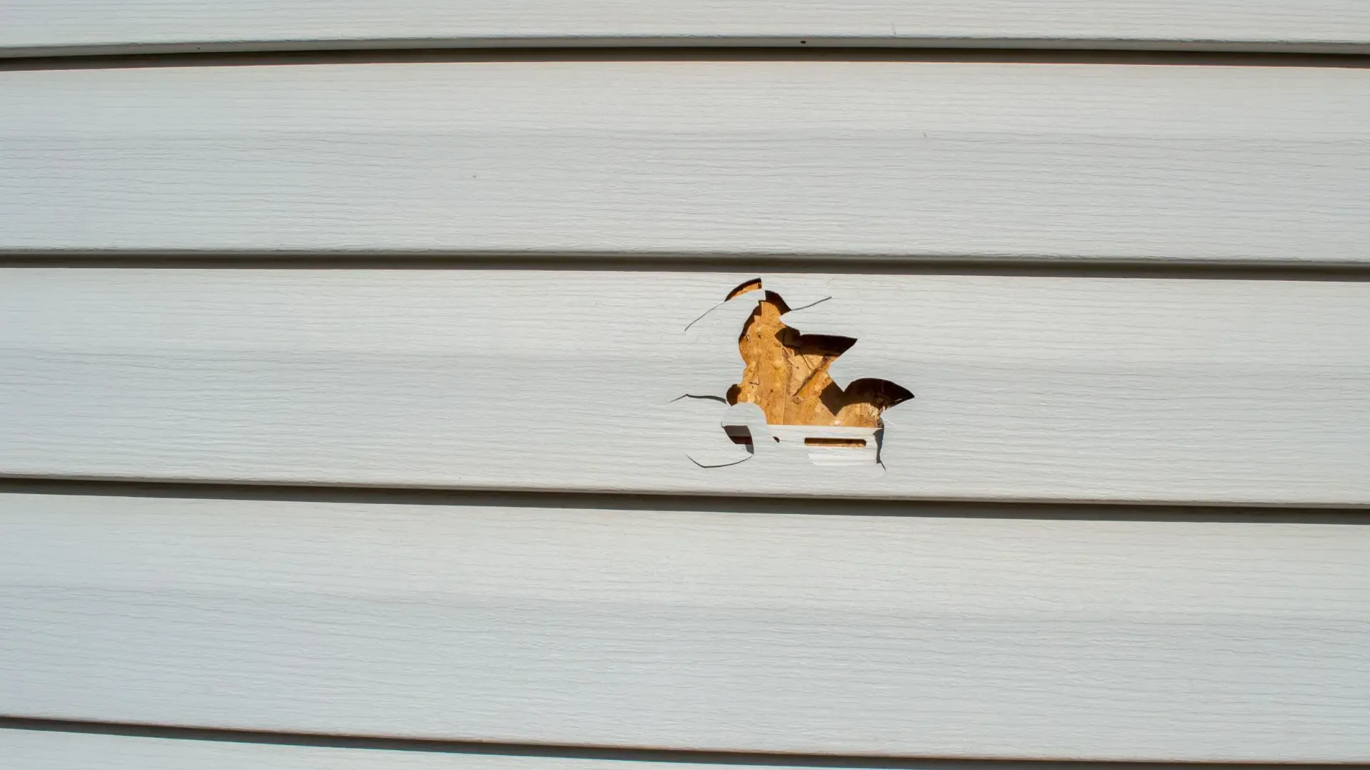 common-causes-of-buckling-warping-cracked-siding-AS_477626272.webp