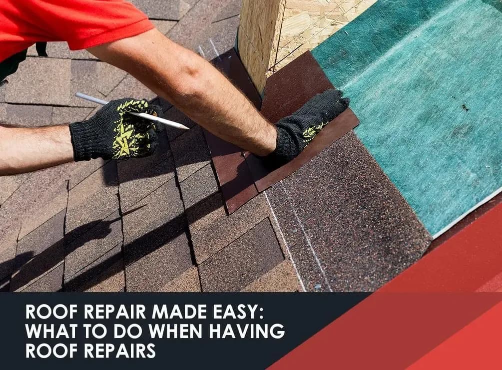 roof-repair-made-easy-01.webp